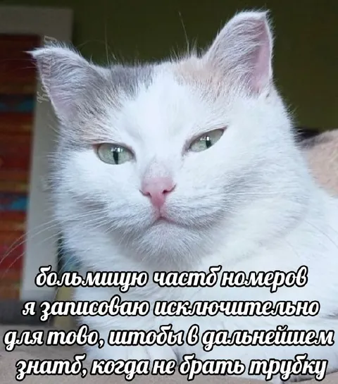 Когда не брать трубку