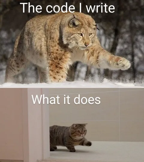 The Code I Write vs What It Does