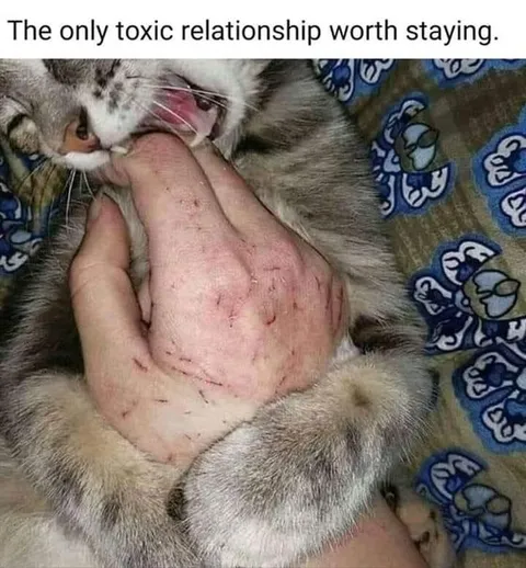 The Only Toxic Relationship Worth Staying