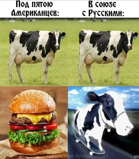 Под пятую американцев и русских