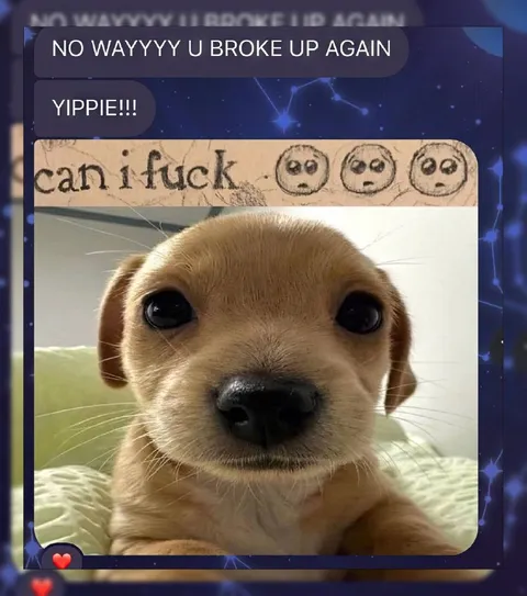 Yippie You Broke Up Again