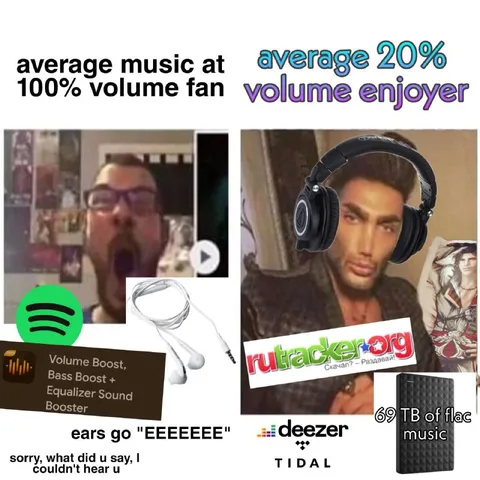 Average Volume Fan vs Enjoyer