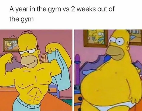 A Year in the Gym vs Two Weeks Out