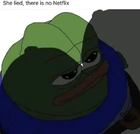 Pepe Learns There Is No Netflix