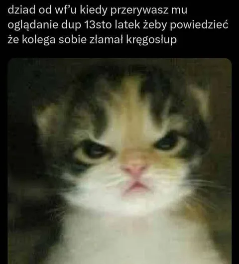 Dziad przerwany podczas oglądania