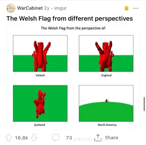 Welsh Flag Perspectives