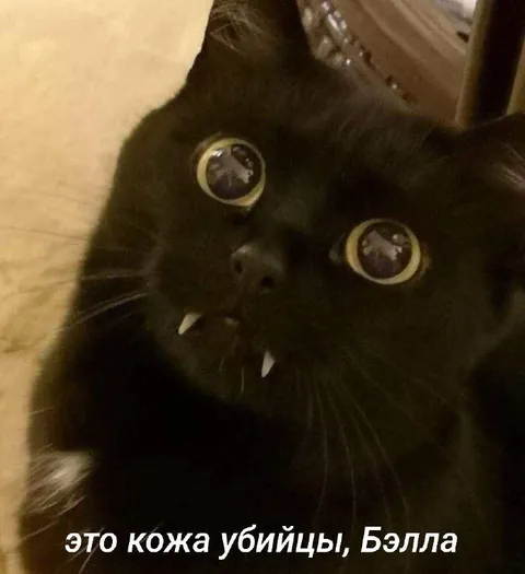 Кожа-убийца Бэлла