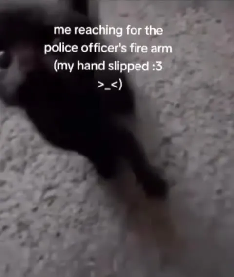 Cat Reaching for the Officer's Firearm
