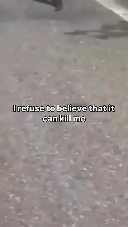 Refusing to Believe the Crocodile