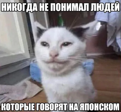 Кот, который не понимает японский