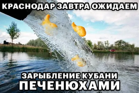Зарыбление Кубани печенюхами