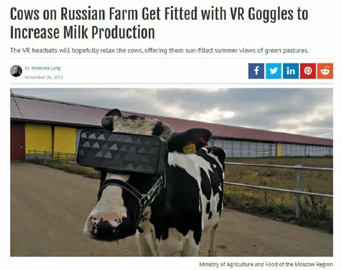 Cow Wears VR Goggles