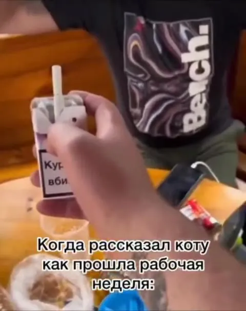 Кот выслушал рабочую неделю