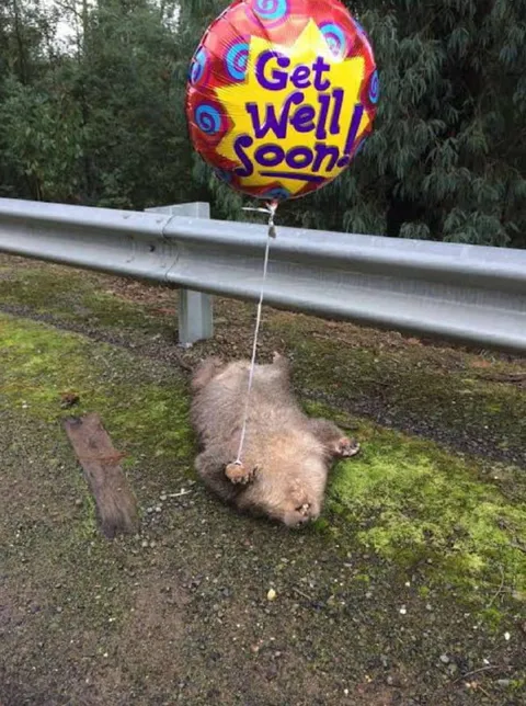 Get Well Soon Roadkill