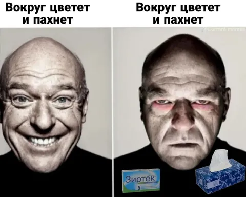 Вокруг цветет и пахнет