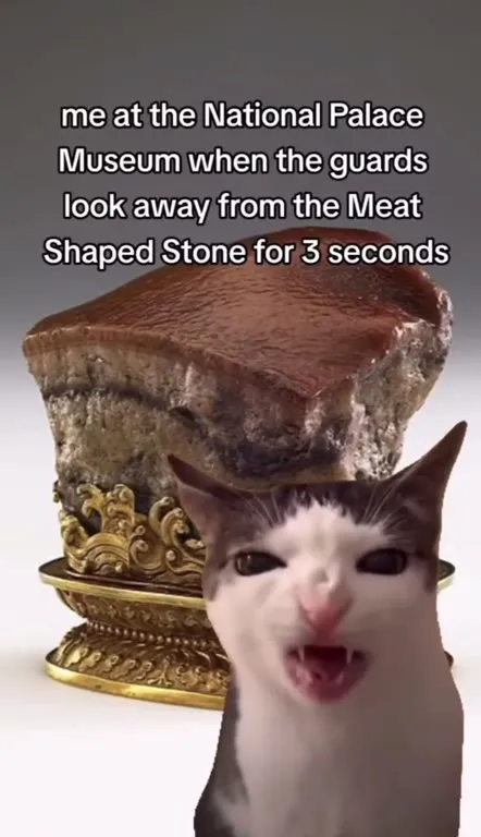 Cat Eats the Meat-Shaped Stone