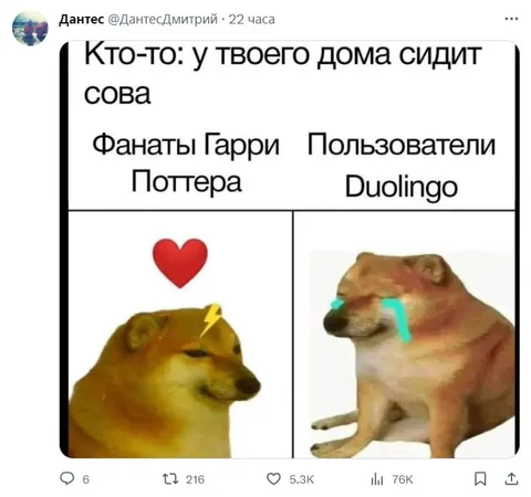 Сова у твоего дома