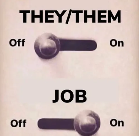 They Them Job Switch
