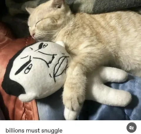 Billions Must Snuggle