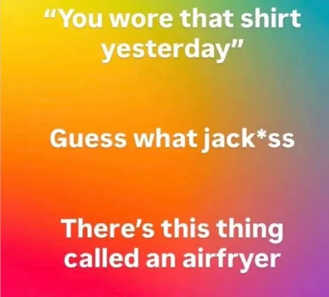 Guess What, Jack*ss Air Fryer
