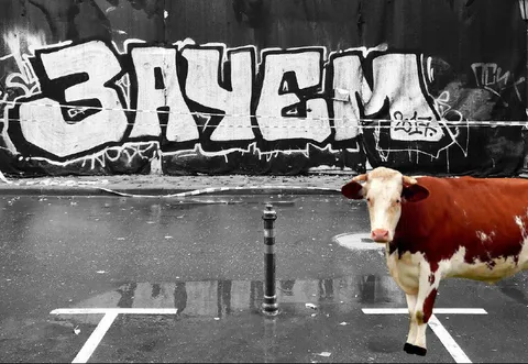 Cow Crossing the Graffiti Street