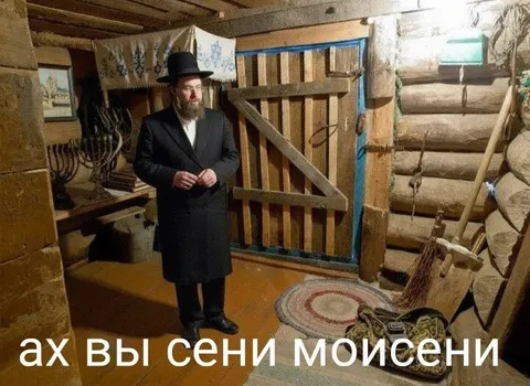 Ах вы сени мойсени