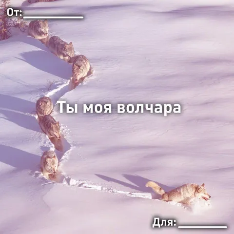 Ты моя волчара