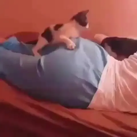 Кот будит спящего человека