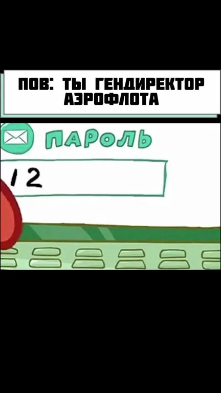 Гендиректор Аэрофлота вводит пароль