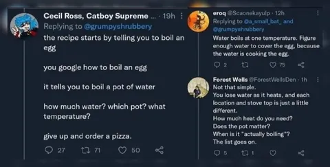 Boil an Egg, Order a Pizza