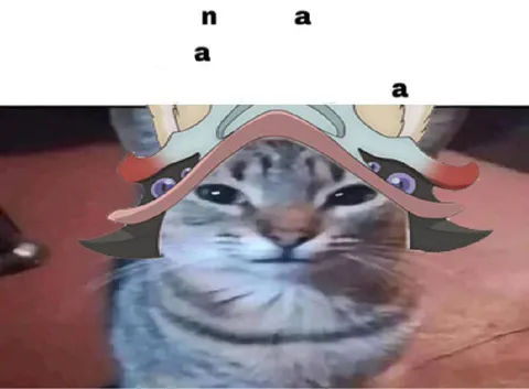 Cat With a Funny Hat