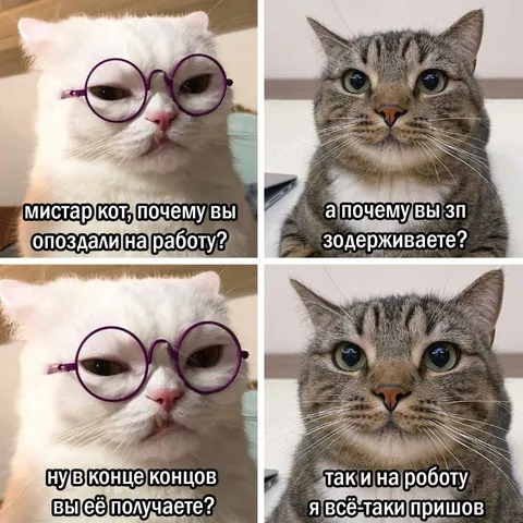 Кот оправдывается за опоздание