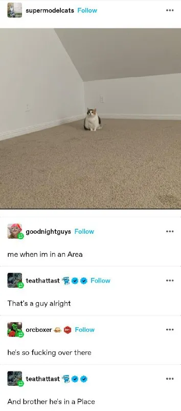 He's So Fucking Over There