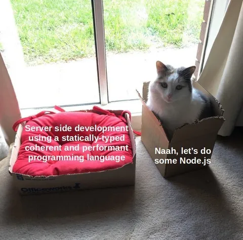 Cat Chooses Node.js