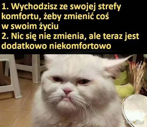Wyjście ze strefy komfortu