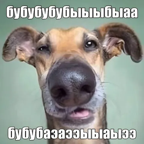 Собака говорит на своём языке