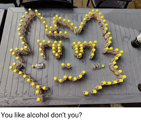 Cat Made of Alcohol Bottles