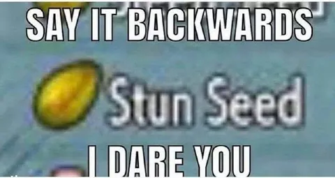 Say It Backwards Challenge