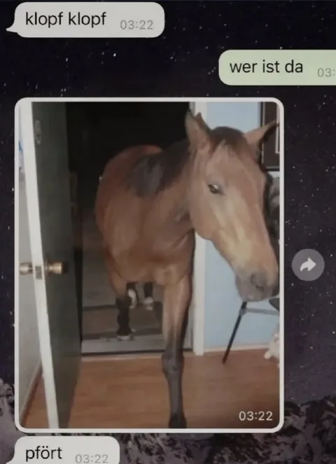 Klopf klopf, wer ist da?