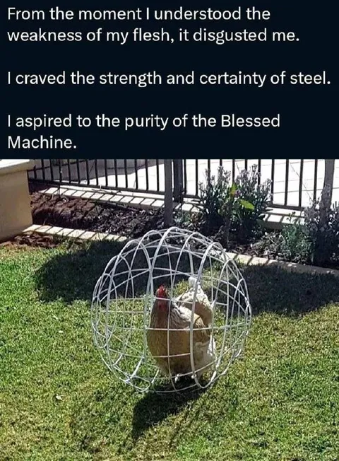 Blessed Machine Cage Chicken