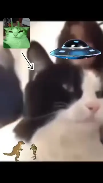 Кот под наблюдением НЛО