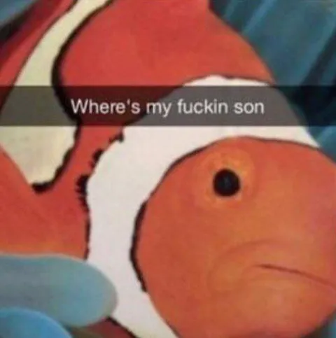 Where's My Fuckin Son