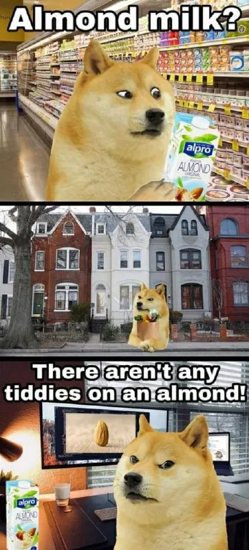 There Aren’t Any Tiddies on an Almond