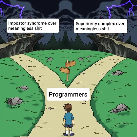 Programmers Choose Their Struggle