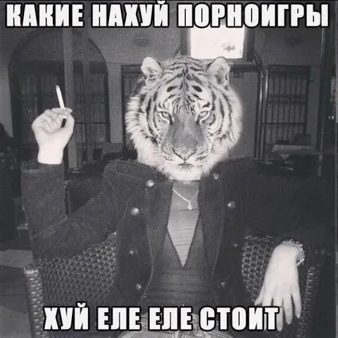 Какие нахуй порноигры
