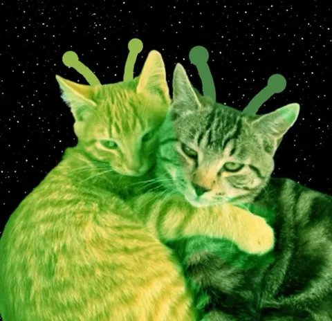 Коты-инопланетяне обнимаются