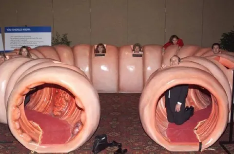People Inside a Giant Colon