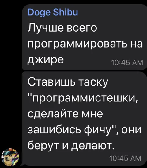 Программистки делают зашифрованную фичу