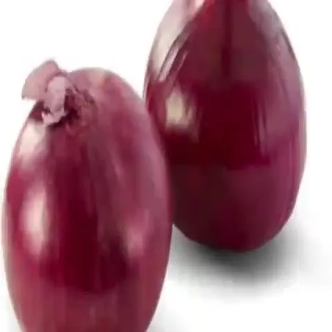Imagine the Onions Dancing