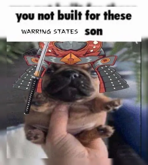You’re Not Built for These Warring States